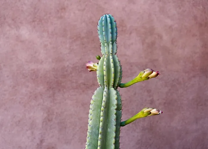 Dimora Cottanera Resort Castiglione De Sicilia
